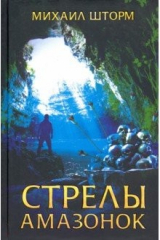 книга Стрелы амазонок