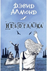 книга Небоглазка