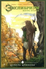 книга Экслибриум. Том 2. Купель дракона