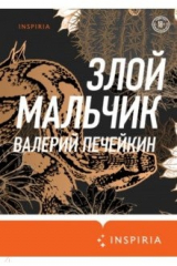 книга Злой мальчик