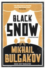 книга Black Snow