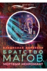 книга Братство магов. Мертвый некромант