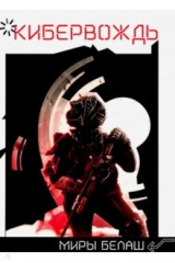 книга Кибервождь