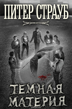 книга Темная материя