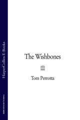 книга The Wishbones