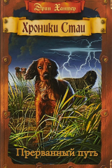 книга Прерванный путь