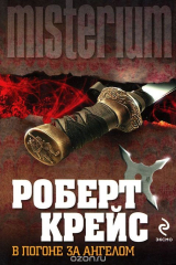 книга В погоне за ангелом