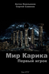 книга Мир Карика