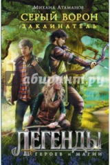 книга Серый ворон. Заклинатель