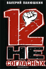 книга 12 несогласных