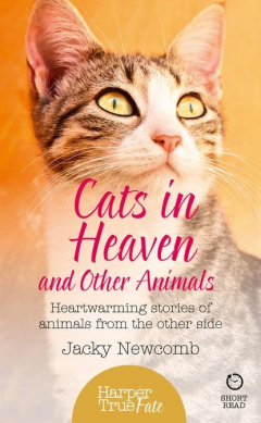 Книга Cats in Heaven: And Other Animals. Heartwarming stories of animals from the other side. на ReadRate.com книга Cats in Heaven: And Other Animals. Heartwarming stories of animals from the other side.