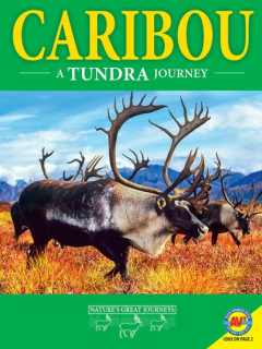 Книга Caribou: A Tundra Journey на ReadRate.com книга Caribou: A Tundra Journey