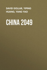 книга China 2049