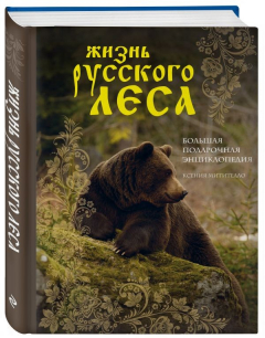 Книга Жизнь русского леса (издание дополненное и переработанное) (медведь) на ReadRate.com книга Жизнь русского леса (издание дополненное и переработанное) (медведь)