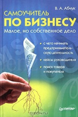 книга Самоучитель по бизнесу