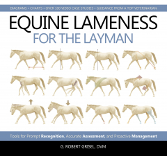 Книга Equine Lameness for the Layman на ReadRate.com книга Equine Lameness for the Layman