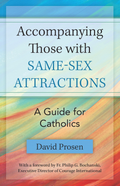 Книга Accompanying those with Same-sex Attractions на ReadRate.com книга Accompanying those with Same-sex Attractions