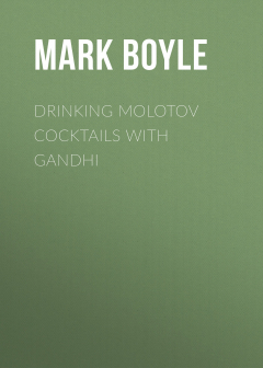 Книга Drinking Molotov Cocktails with Gandhi на ReadRate.com книга Drinking Molotov Cocktails with Gandhi