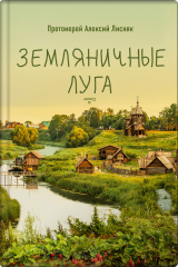книга Земляничные луга