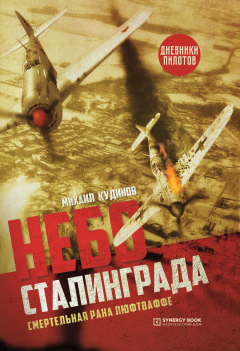 Книга Небо Сталинграда. Смертельная рана люфтваффе на ReadRate.com книга Небо Сталинграда. Смертельная рана люфтваффе