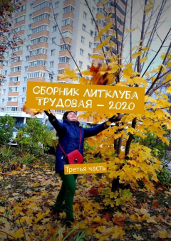 Книга Сборник Литклуба Трудовая – 2020. Третья часть на ReadRate.com книга Сборник Литклуба Трудовая – 2020. Третья часть