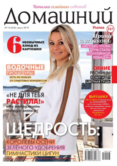 Книга Домашний Журнал 16-2019 на ReadRate.com книга Домашний Журнал 16-2019