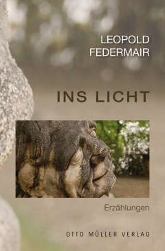Книга Ins Licht на ReadRate.com книга Ins Licht
