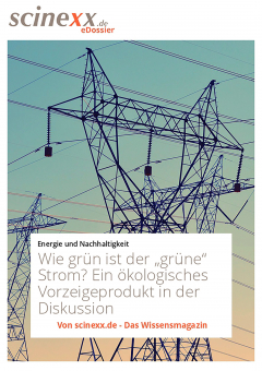 Книга Wie gr?n ist der "gr?ne" Strom? на ReadRate.com книга Wie gr?n ist der "gr?ne" Strom?