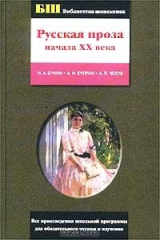 книга Русская проза начала XX века