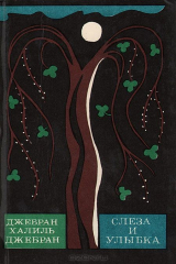 книга Слеза и улыбка