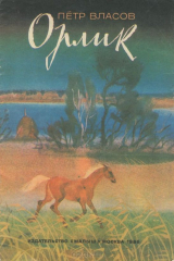 книга Орлик