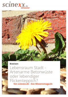Книга Lebensraum Stadt на ReadRate.com книга Lebensraum Stadt