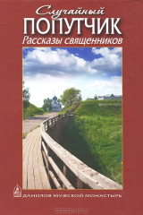 книга Случайный попутчик