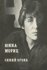 книга Синий огонь