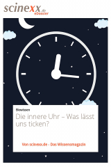 книга Die innere Uhr