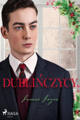 книга Dublińczycy