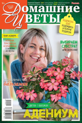 книга Домашние Цветы 10-2019