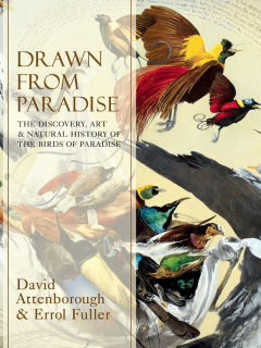 Книга Drawn From Paradise: The Discovery, Art and Natural History of the Birds of Paradise на ReadRate.com книга Drawn From Paradise: The Discovery, Art and Natural History of the Birds of Paradise
