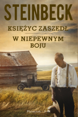 книга Księżyc zaszedł, W niepewnym boju