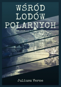 книга Wśr?d lod?w polarnych