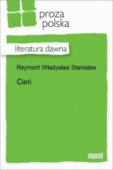 книга Cień