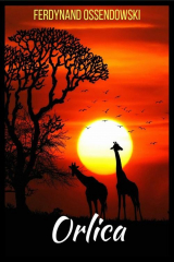 книга Orlica