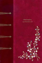 книга Матаморфозы, или Золотой осел