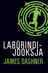 книга Lab?rindijooksja