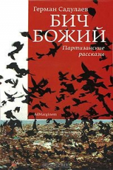 книга Бич Божий. Партизанские рассказы