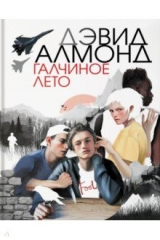 книга Галчиное лето