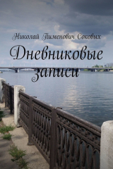 книга Дневниковые записи
