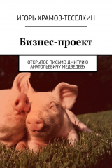 книга Бизнес-проект. Открытое письмо Дмитрию Анатольевичу Медведеву