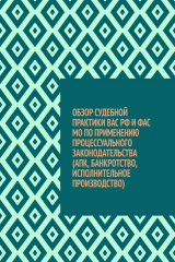 книга Обзор судебной практики ВАС РФ и ФАС МО по применению процессуального законодательства (АПК, банкротство, исполнительное производство)