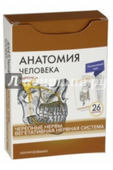 книга Анатомия человека.Черепные нервы. Карточки (26 шт)
